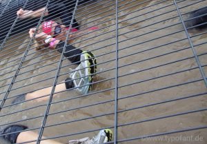 Muddy Angel Run 2019